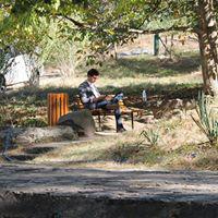 Aლეცოდერ