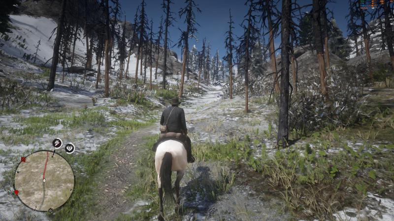 RDR2_2020_05_21_02_26_45_155.jpg