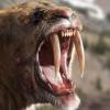 Smilodon